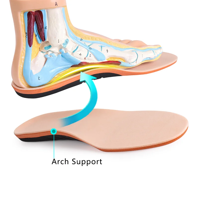 Plantillas diabéticos de silicona – Súper suaves, masaje completo, antidorlor para talón y antepié unisex